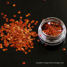 beautiful glitter flakes five-pointed star